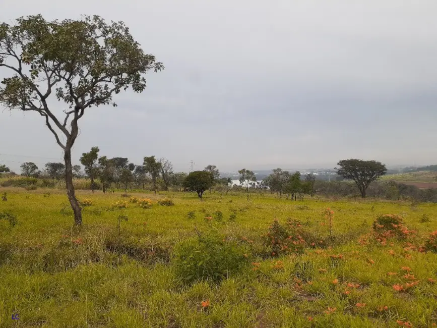Foto 3 de Terreno / Lote à venda, 5200m2 em Bonfim, Paulinia - SP