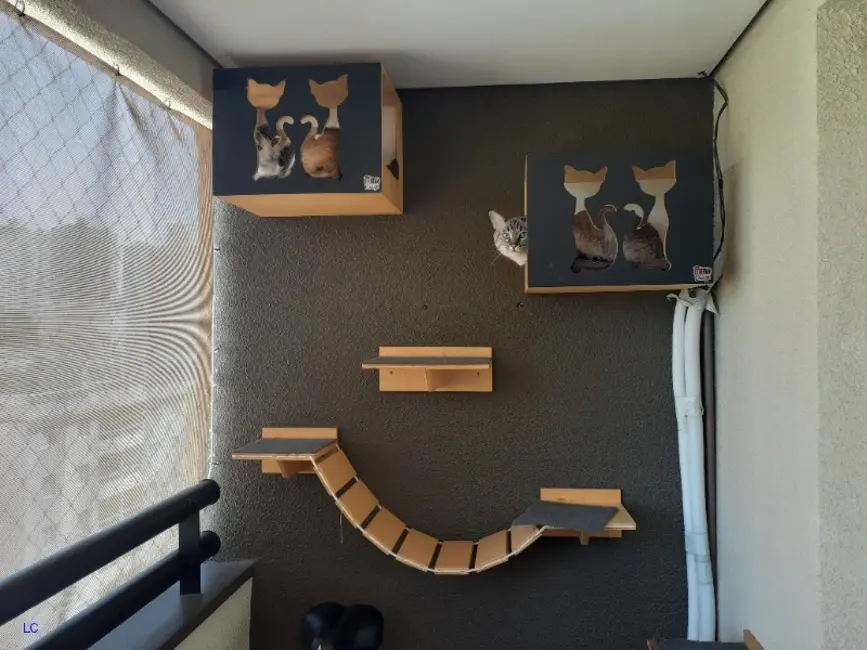 Foto 4 de Apartamento com 3 quartos à venda, 69m2 em Mansões Santo Antônio, Campinas - SP