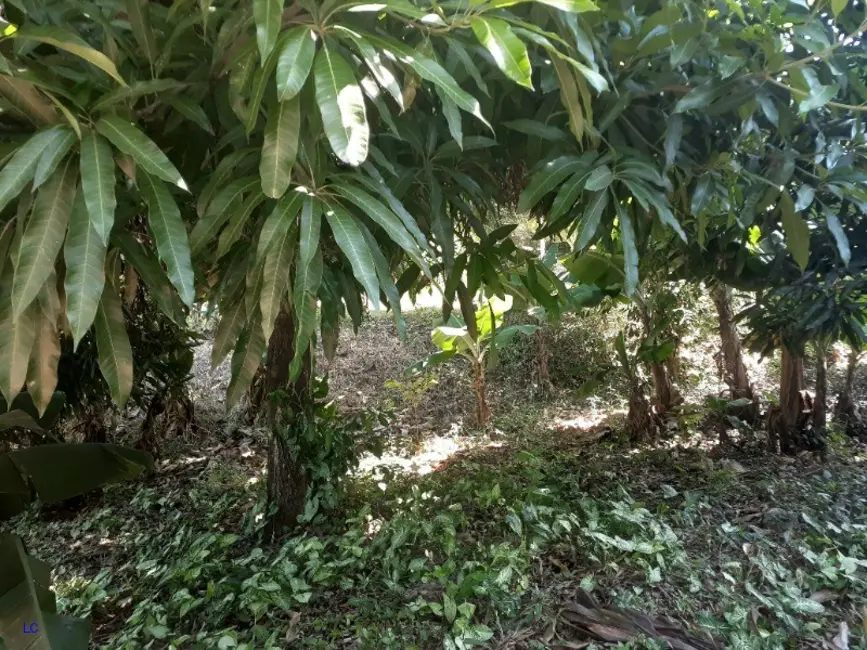 Terreno / Lote à venda, 890m2 em Parque Taquaral, Campinas - SP - imagem 9 Foto 9 de Terreno / Lote à venda, 890m2 em Parque Taquaral, Campinas - SP