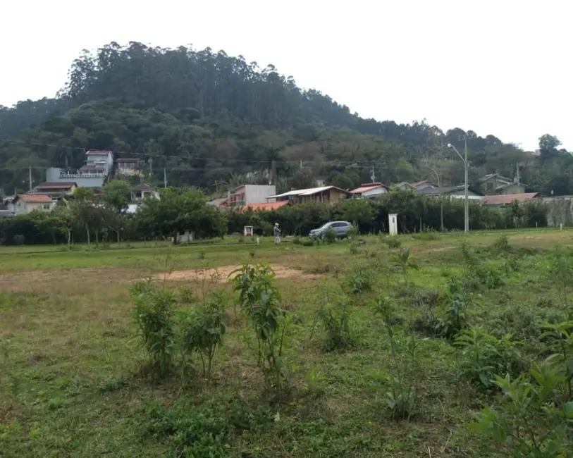 Terreno / Lote à venda, 443m2 em Canasvieiras, Florianopolis - SC - imagem 4 Foto 4 de Terreno / Lote à venda, 443m2 em Canasvieiras, Florianopolis - SC