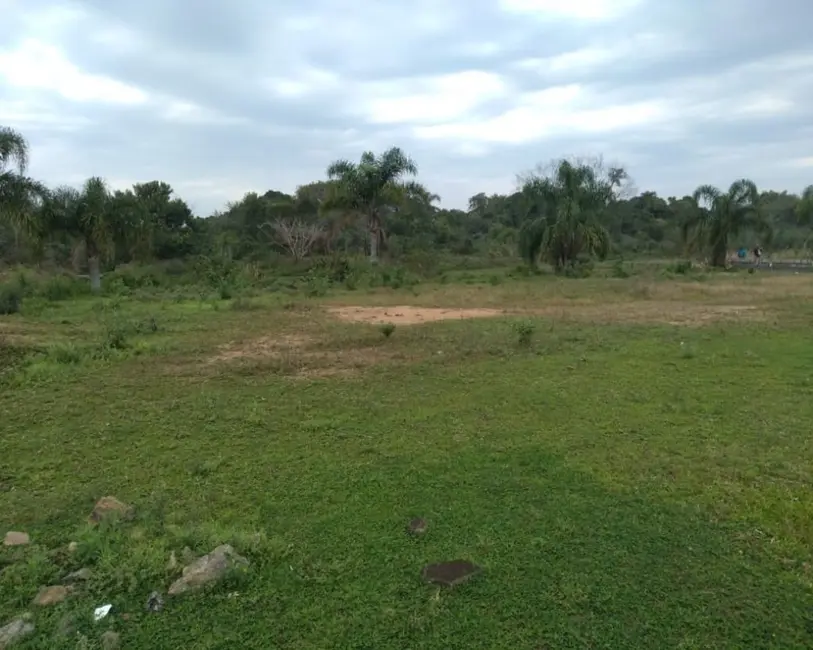 Terreno / Lote à venda, 443m2 em Canasvieiras, Florianopolis - SC - imagem 5 Foto 5 de Terreno / Lote à venda, 443m2 em Canasvieiras, Florianopolis - SC