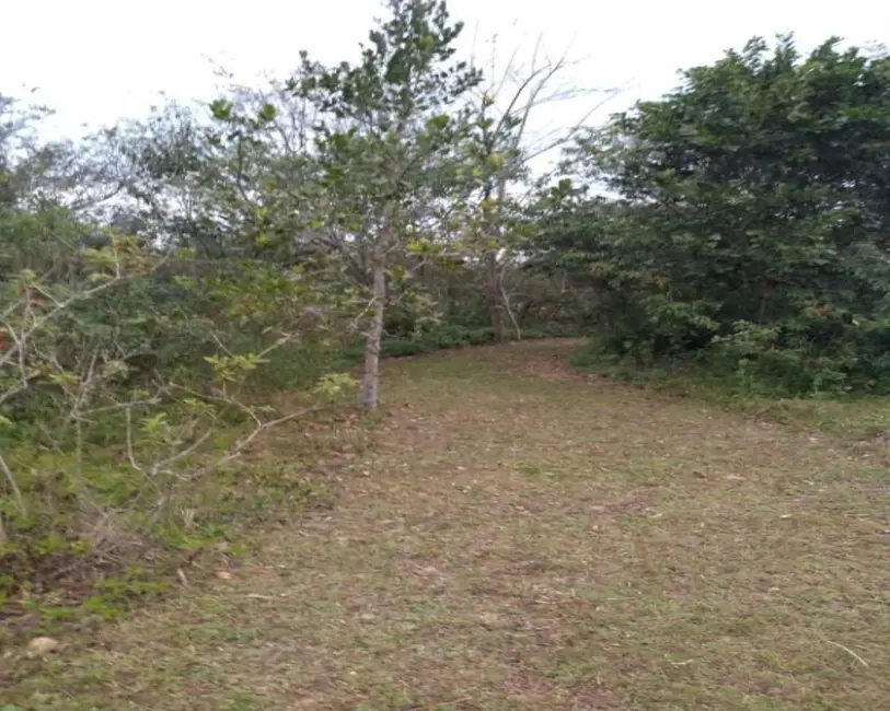 Foto 7 de Terreno / Lote à venda, 398m2 em Canasvieiras, Florianopolis - SC