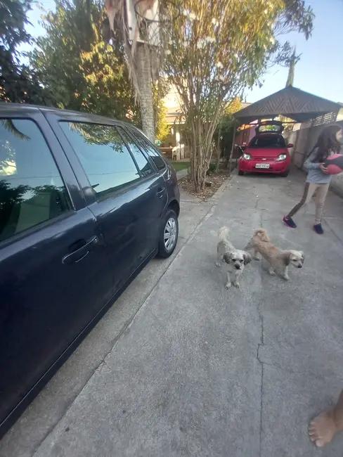 Foto 3 de Casa com 3 quartos à venda, 120m2 em São João do Rio Vermelho, Florianopolis - SC