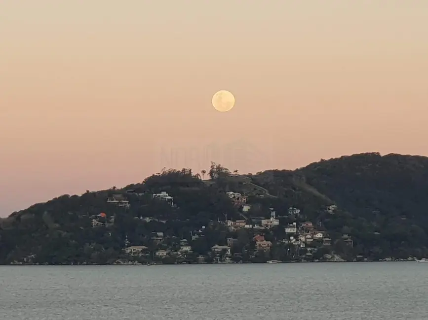 Foto 4 de Casa com 3 quartos à venda, 225m2 em Lagoa da Conceição, Florianopolis - SC