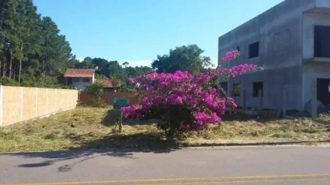 Terreno / Lote à venda, 450m2 em São João do Rio Vermelho, Florianopolis - SC - imagem 4 Foto 4 de Terreno / Lote à venda, 450m2 em São João do Rio Vermelho, Florianopolis - SC