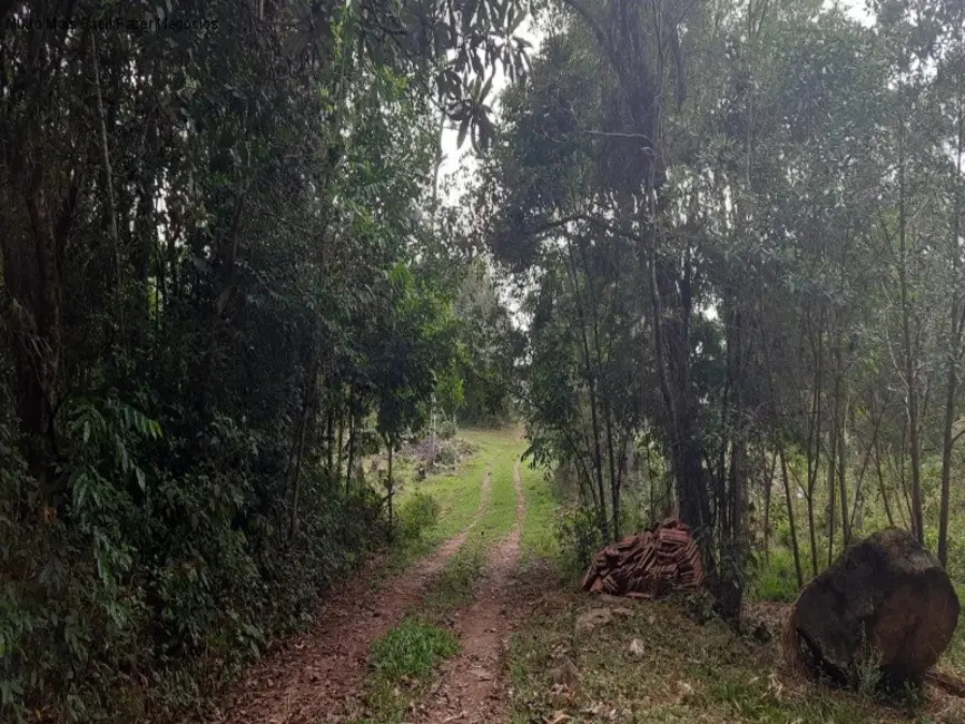 Terreno / Lote à venda em Nova Petropolis - RS - imagem 5 Foto 5 de Terreno / Lote à venda em Nova Petropolis - RS