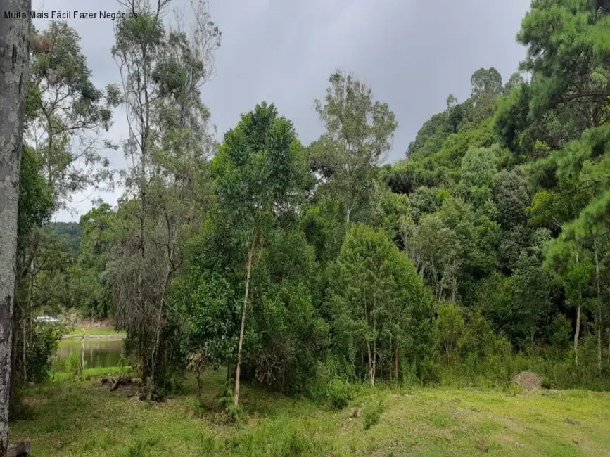 Terreno / Lote à venda em Nova Petropolis - RS - imagem 8 Foto 8 de Terreno / Lote à venda em Nova Petropolis - RS