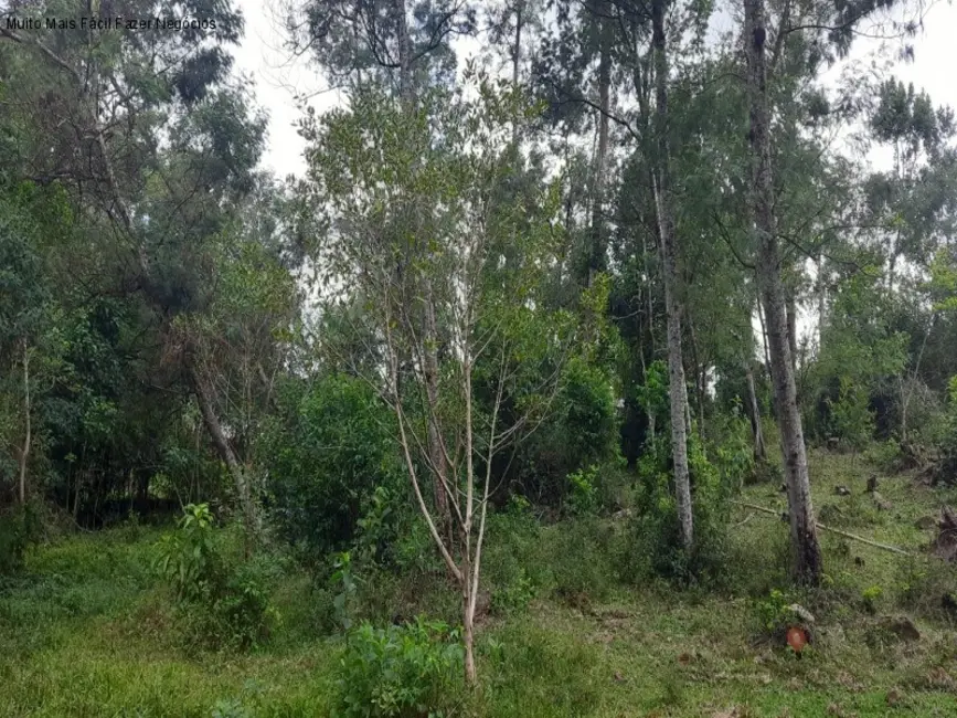 Terreno / Lote à venda em Nova Petropolis - RS - imagem 4 Foto 4 de Terreno / Lote à venda em Nova Petropolis - RS