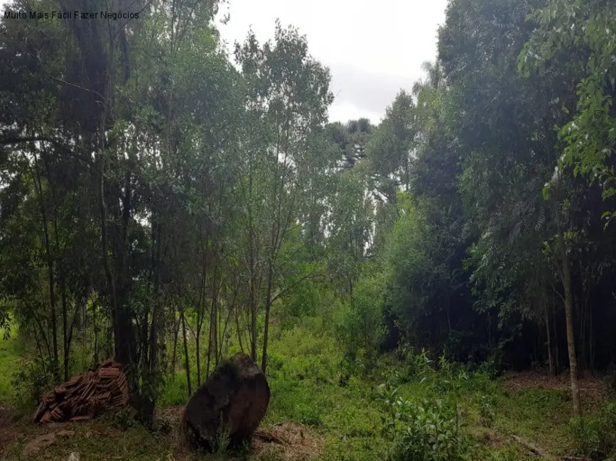Terreno / Lote à venda em Nova Petropolis - RS - imagem 3 Foto 3 de Terreno / Lote à venda em Nova Petropolis - RS