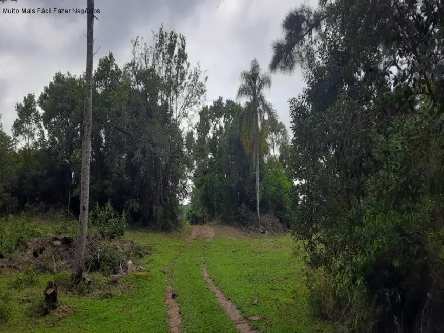 Foto 2 de Terreno / Lote à venda em Nova Petropolis - RS