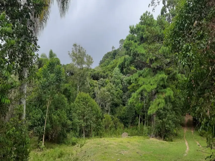 Terreno / Lote à venda em Nova Petropolis - RS - imagem 7 Foto 7 de Terreno / Lote à venda em Nova Petropolis - RS