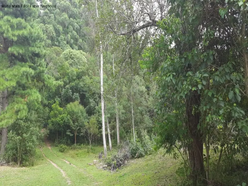 Terreno / Lote à venda em Nova Petropolis - RS - imagem 6 Foto 6 de Terreno / Lote à venda em Nova Petropolis - RS