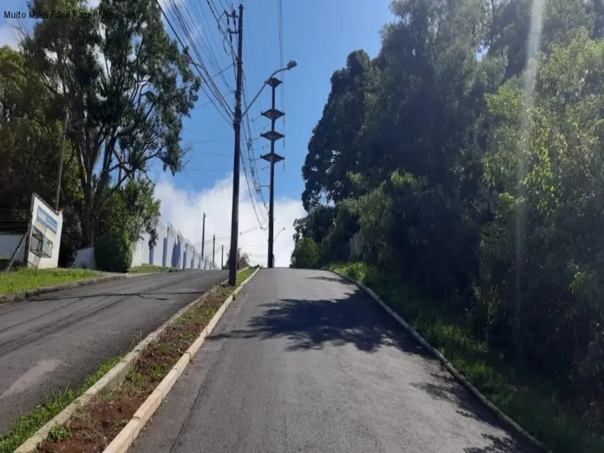 Terreno / Lote à venda, 2800m2 em Nova Petropolis - RS - imagem 6 Foto 6 de Terreno / Lote à venda, 2800m2 em Nova Petropolis - RS