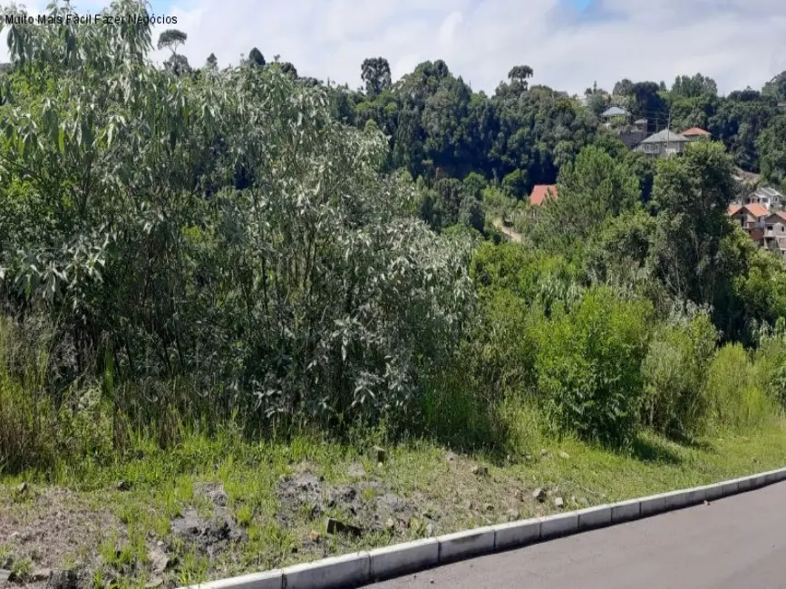 Terreno / Lote à venda, 2800m2 em Nova Petropolis - RS - imagem 3 Foto 3 de Terreno / Lote à venda, 2800m2 em Nova Petropolis - RS