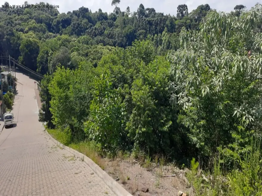 Terreno / Lote à venda, 2800m2 em Nova Petropolis - RS - imagem 2 Foto 2 de Terreno / Lote à venda, 2800m2 em Nova Petropolis - RS