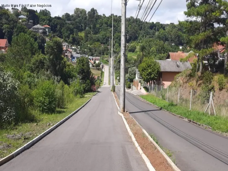 Terreno / Lote à venda, 2800m2 em Nova Petropolis - RS - imagem 5 Foto 5 de Terreno / Lote à venda, 2800m2 em Nova Petropolis - RS