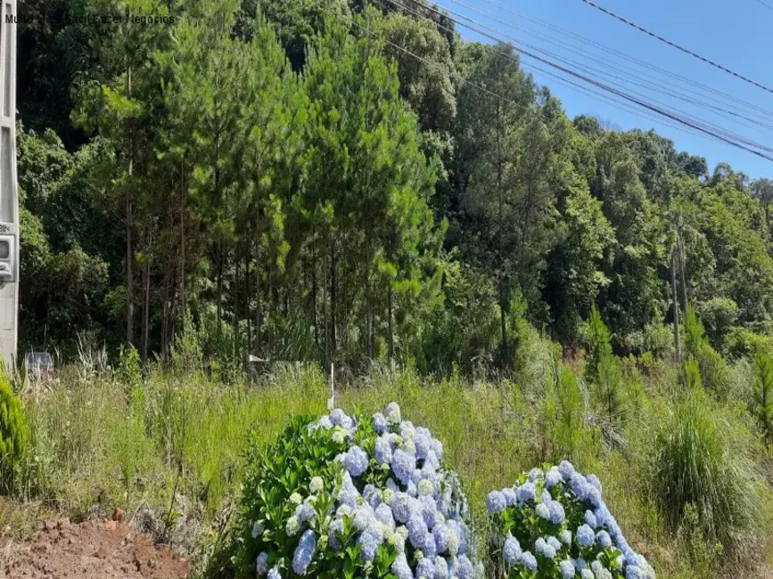 Terreno / Lote à venda, 430m2 em Nova Petropolis - RS - imagem 6 Foto 6 de Terreno / Lote à venda, 430m2 em Nova Petropolis - RS