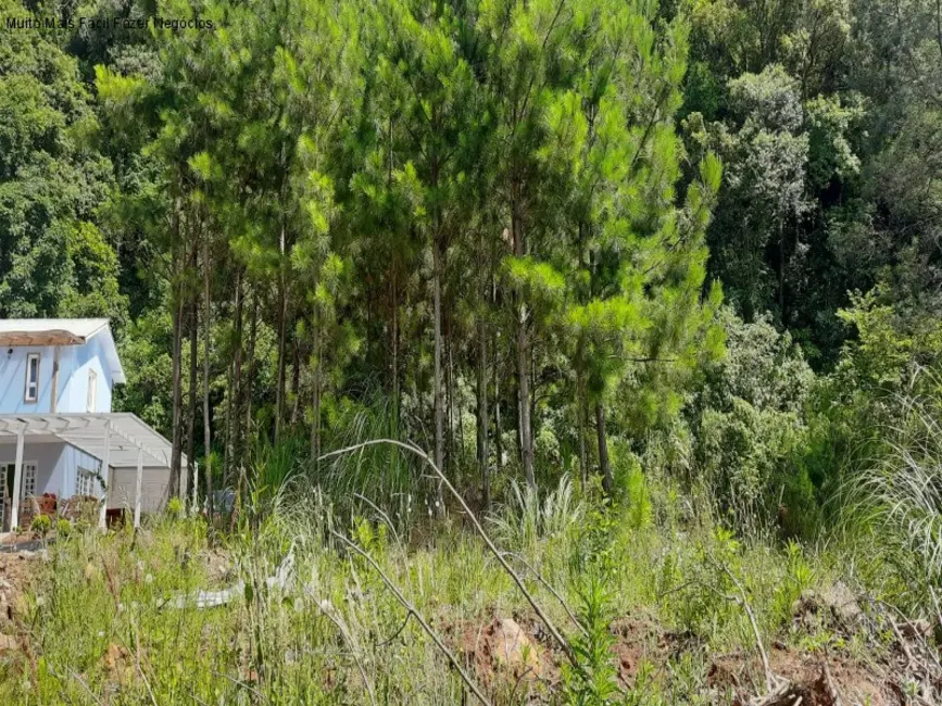 Terreno / Lote à venda, 430m2 em Nova Petropolis - RS - imagem 4 Foto 4 de Terreno / Lote à venda, 430m2 em Nova Petropolis - RS