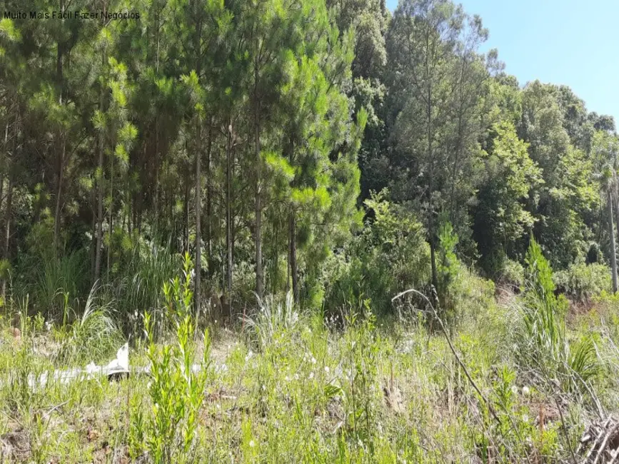 Terreno / Lote à venda, 430m2 em Nova Petropolis - RS - imagem 5 Foto 5 de Terreno / Lote à venda, 430m2 em Nova Petropolis - RS