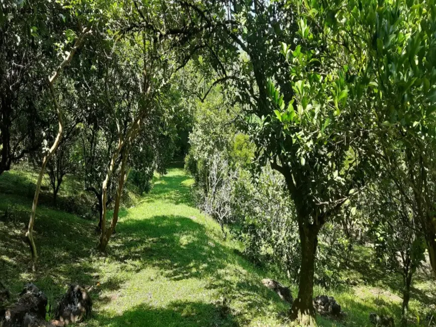 Sítio / Rancho com 2 quartos à venda, 12m2 em Nova Petropolis - RS - imagem 8 Foto 8 de Sítio / Rancho com 2 quartos à venda, 12m2 em Nova Petropolis - RS