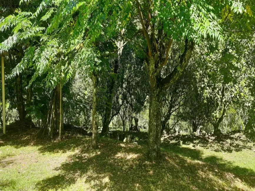 Sítio / Rancho com 2 quartos à venda, 12m2 em Nova Petropolis - RS - imagem 3 Foto 3 de Sítio / Rancho com 2 quartos à venda, 12m2 em Nova Petropolis - RS