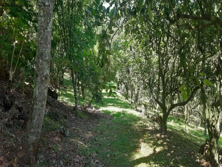 Sítio / Rancho com 2 quartos à venda, 12m2 em Nova Petropolis - RS - imagem 5 Foto 5 de Sítio / Rancho com 2 quartos à venda, 12m2 em Nova Petropolis - RS