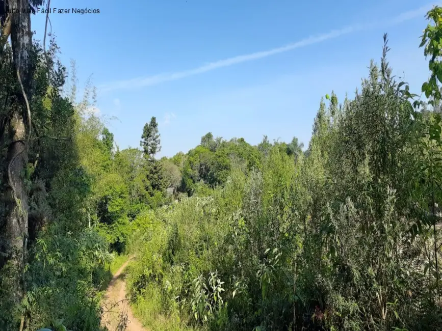 Foto 3 de Terreno / Lote à venda em Nova Petropolis - RS