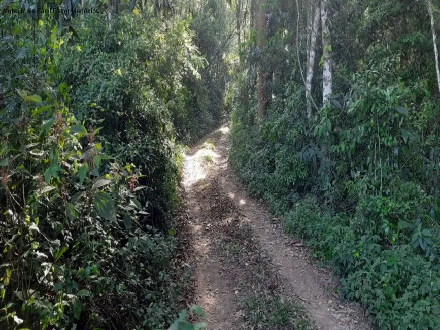 Foto 7 de Terreno / Lote à venda em Nova Petropolis - RS