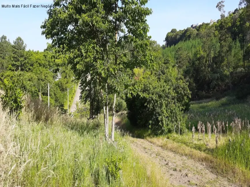 Foto 4 de Terreno / Lote à venda em Nova Petropolis - RS