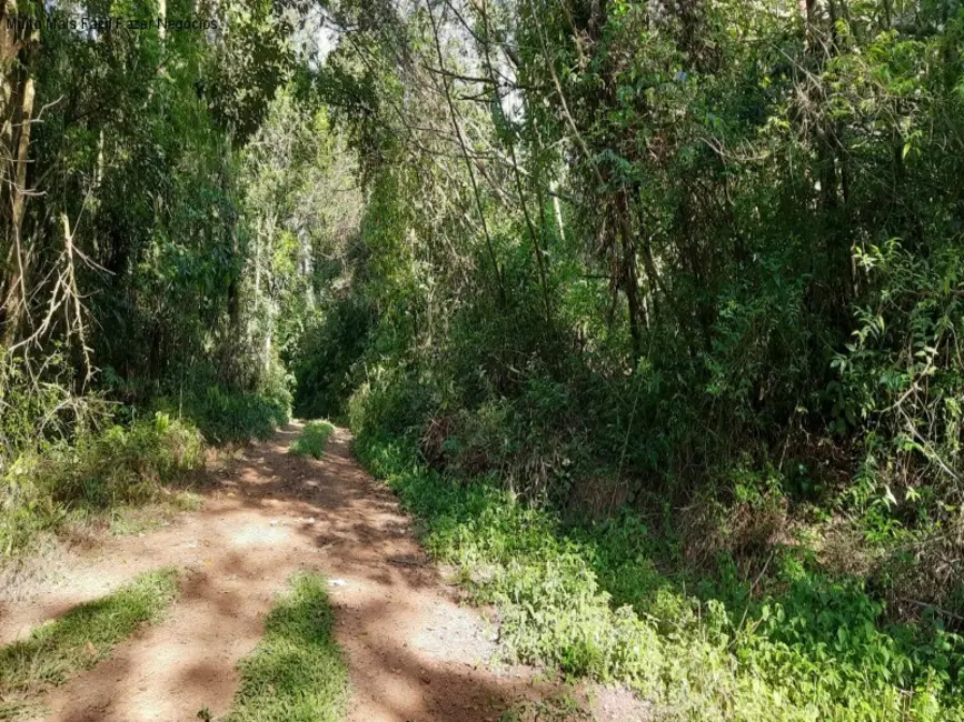 Foto 9 de Terreno / Lote à venda em Nova Petropolis - RS