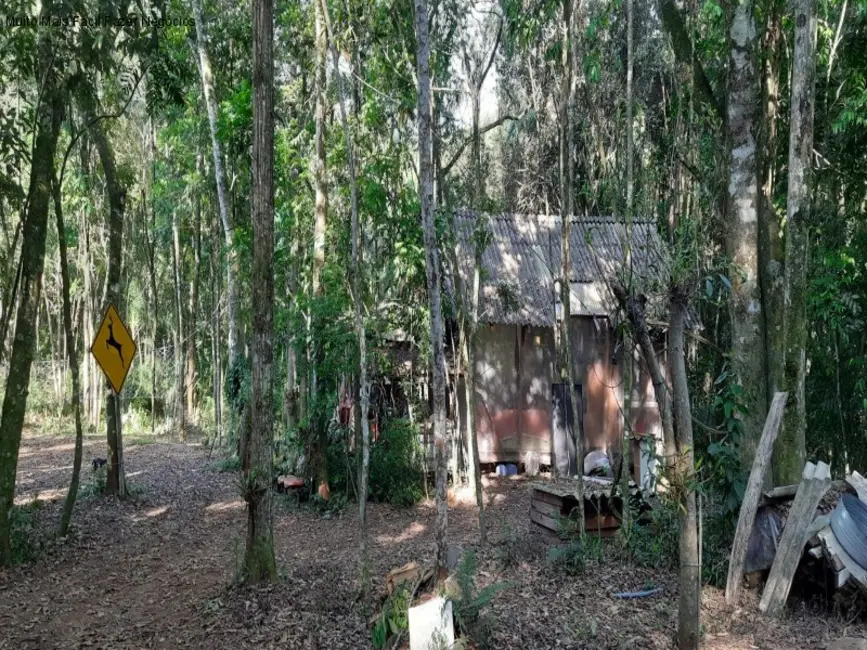 Foto 5 de Terreno / Lote à venda em Nova Petropolis - RS