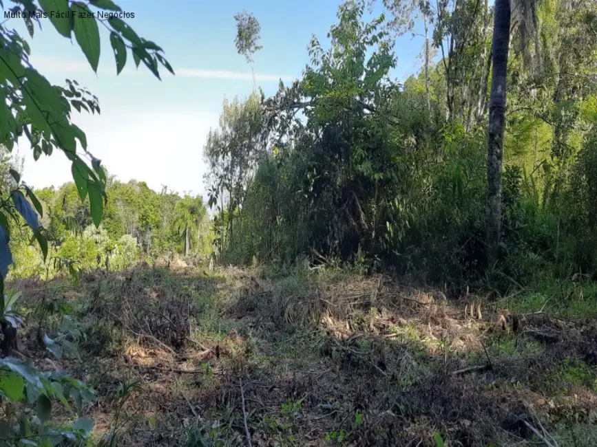 Foto 8 de Terreno / Lote à venda em Nova Petropolis - RS