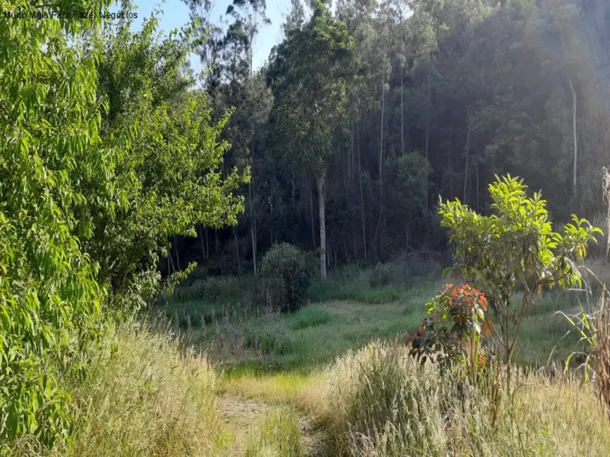 Foto 2 de Terreno / Lote à venda em Nova Petropolis - RS