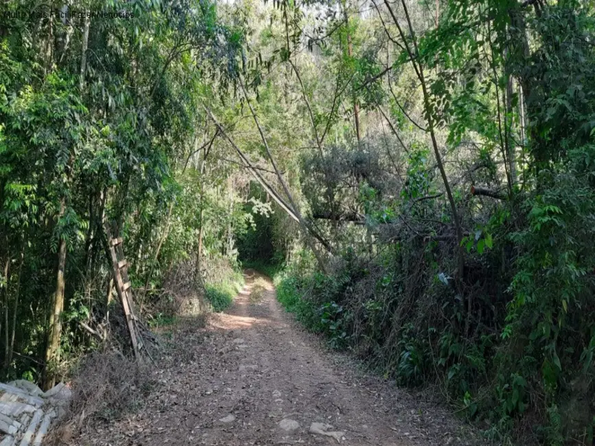 Foto 6 de Terreno / Lote à venda em Nova Petropolis - RS