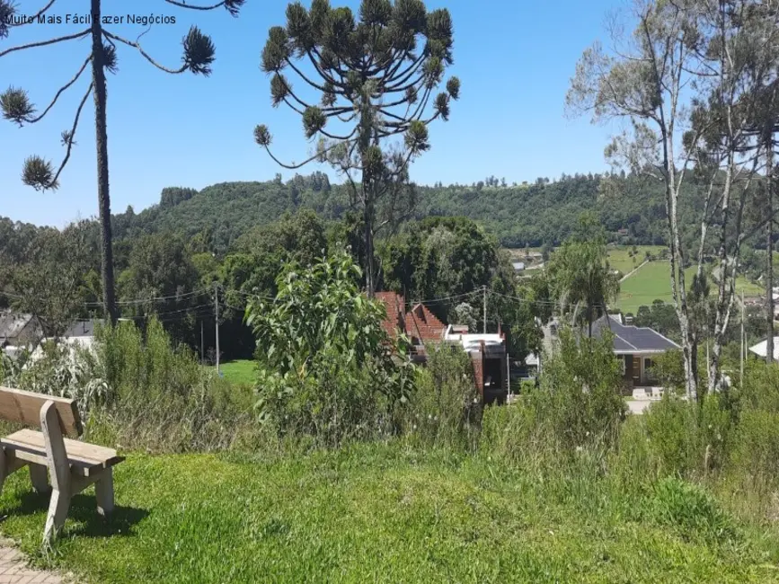 Foto 2 de Terreno / Lote à venda, 362m2 em Nova Petropolis - RS