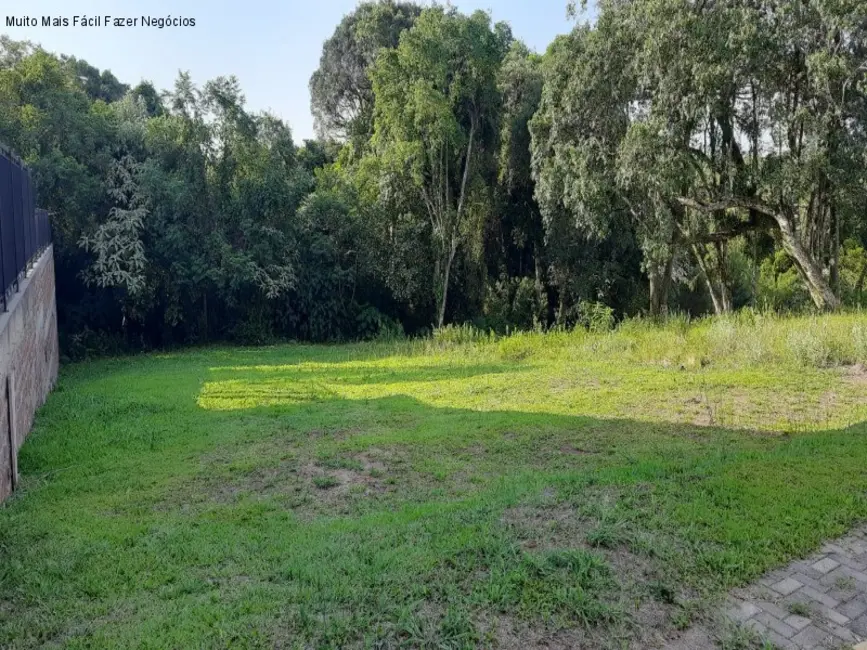 Foto 2 de Terreno / Lote à venda, 403m2 em Nova Petropolis - RS