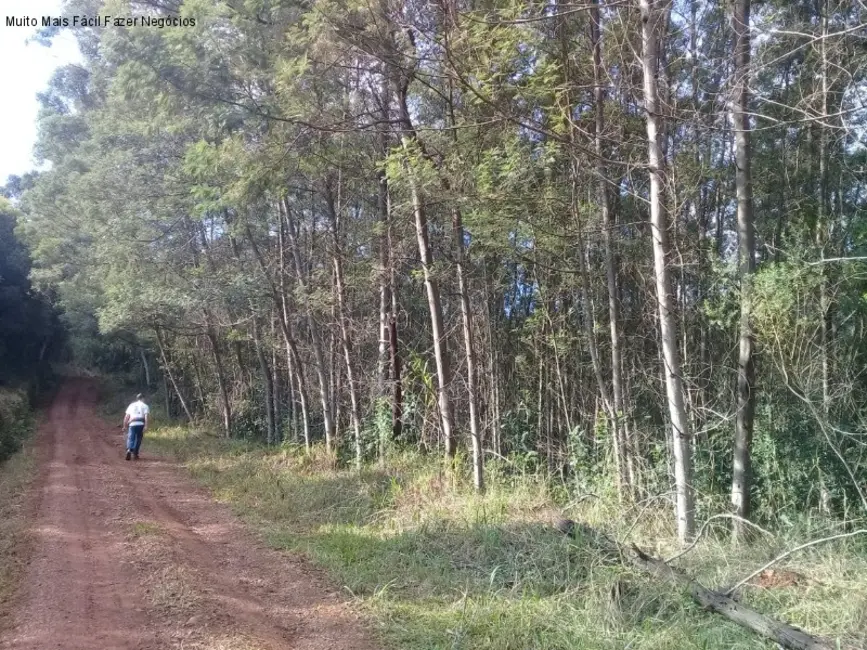 Terreno / Lote à venda em Nova Petropolis - RS - imagem 8 Foto 8 de Terreno / Lote à venda em Nova Petropolis - RS