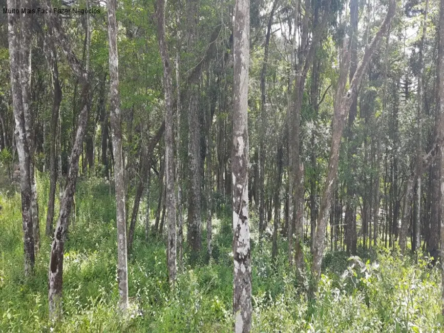Terreno / Lote à venda, 365m2 em Nova Petropolis - RS - imagem 3 Foto 3 de Terreno / Lote à venda, 365m2 em Nova Petropolis - RS