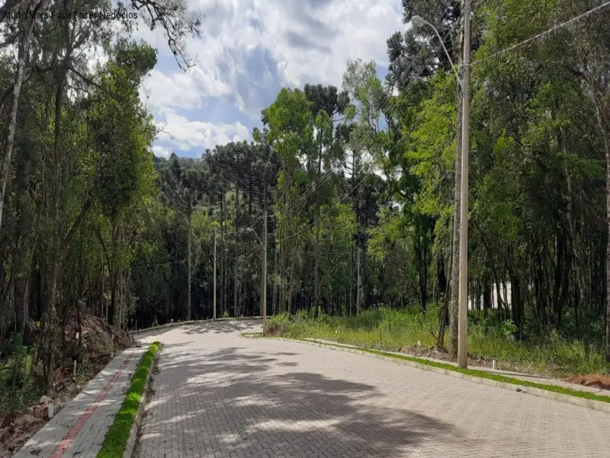 Terreno / Lote à venda, 365m2 em Nova Petropolis - RS - imagem 4 Foto 4 de Terreno / Lote à venda, 365m2 em Nova Petropolis - RS