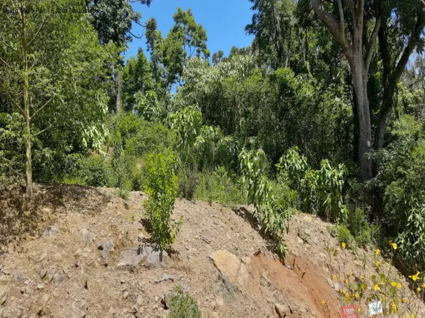 Foto 1 de Terreno / Lote à venda, 445m2 em Nova Petropolis - RS