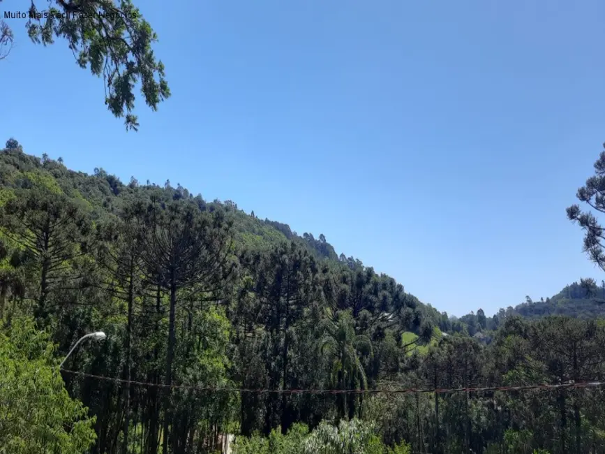 Foto 5 de Terreno / Lote à venda, 445m2 em Nova Petropolis - RS