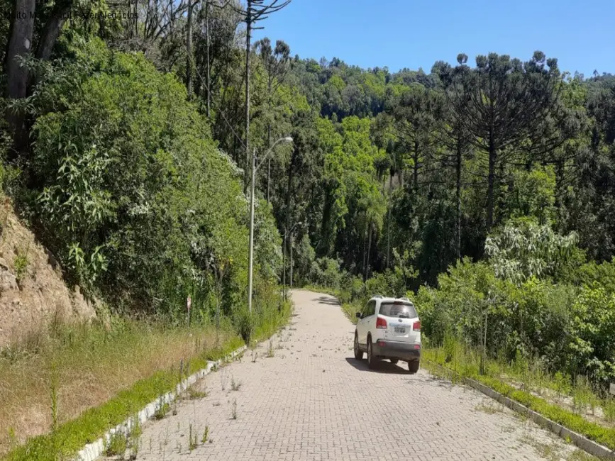 Foto 4 de Terreno / Lote à venda, 445m2 em Nova Petropolis - RS