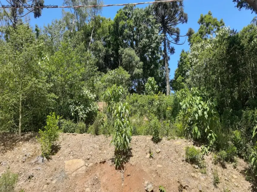 Foto 2 de Terreno / Lote à venda, 445m2 em Nova Petropolis - RS
