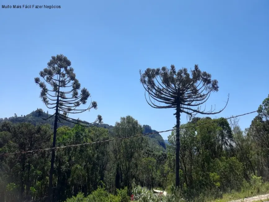 Foto 6 de Terreno / Lote à venda, 445m2 em Nova Petropolis - RS
