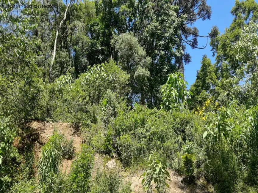Foto 3 de Terreno / Lote à venda, 445m2 em Nova Petropolis - RS