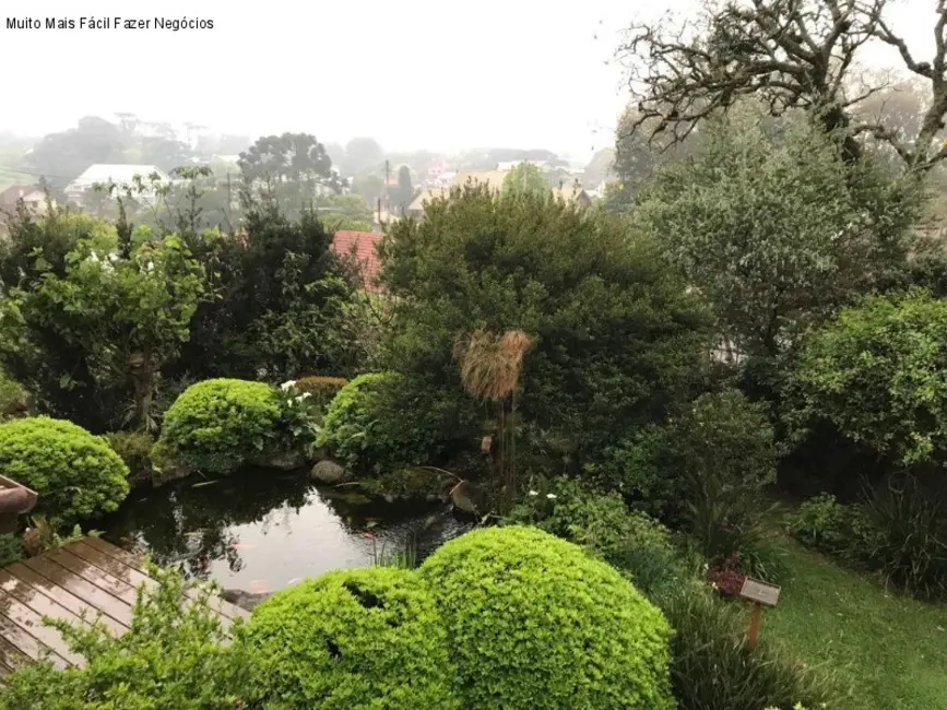 Foto 6 de Casa com 5 quartos à venda, 600m2 em Nova Petropolis - RS
