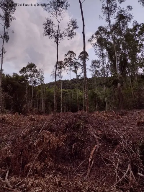 Terreno / Lote à venda, 20979m2 em Nova Petropolis - RS - imagem 5 Foto 5 de Terreno / Lote à venda, 20979m2 em Nova Petropolis - RS