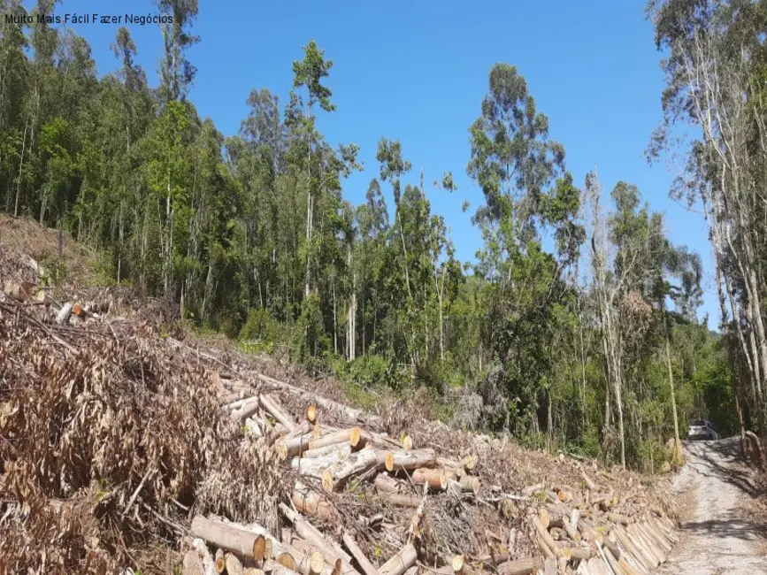 Foto 4 de Sítio / Rancho com 1 quarto à venda, 31m2 em Nova Petropolis - RS
