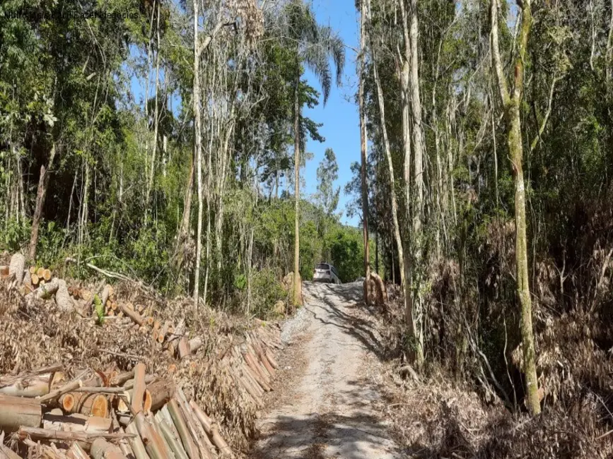 Foto 3 de Sítio / Rancho com 1 quarto à venda, 31m2 em Nova Petropolis - RS