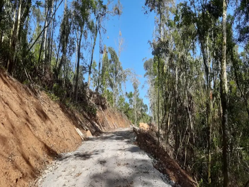 Foto 6 de Sítio / Rancho com 1 quarto à venda, 31m2 em Nova Petropolis - RS